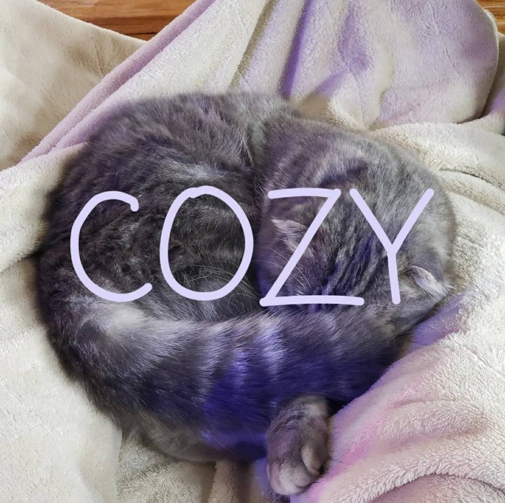 Especially cozy tops